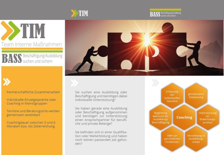 Extract from the TIM flyer