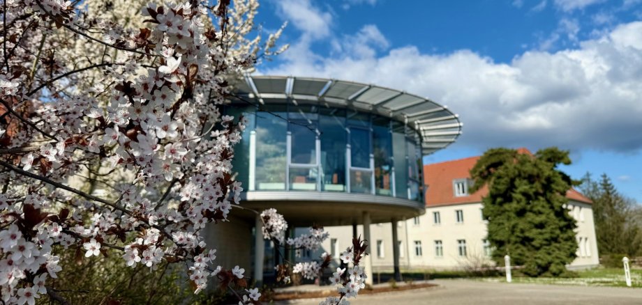 Verwaltungsgebäude Ermslebener Straße, Aschersleben