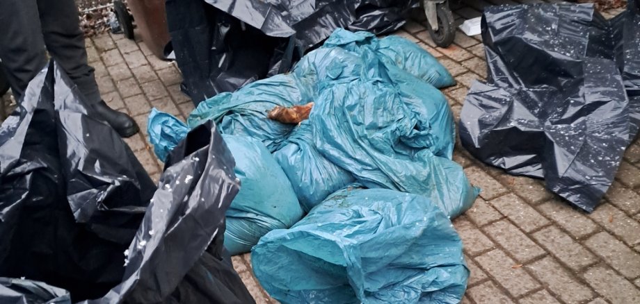 Säckeweise Schlachtabfall: Der jüngste Fund in Aschersleben
