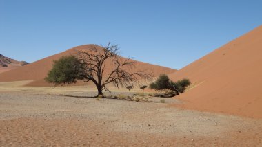Paisaje desértico en Namibia Paisaje desértico en Namibia