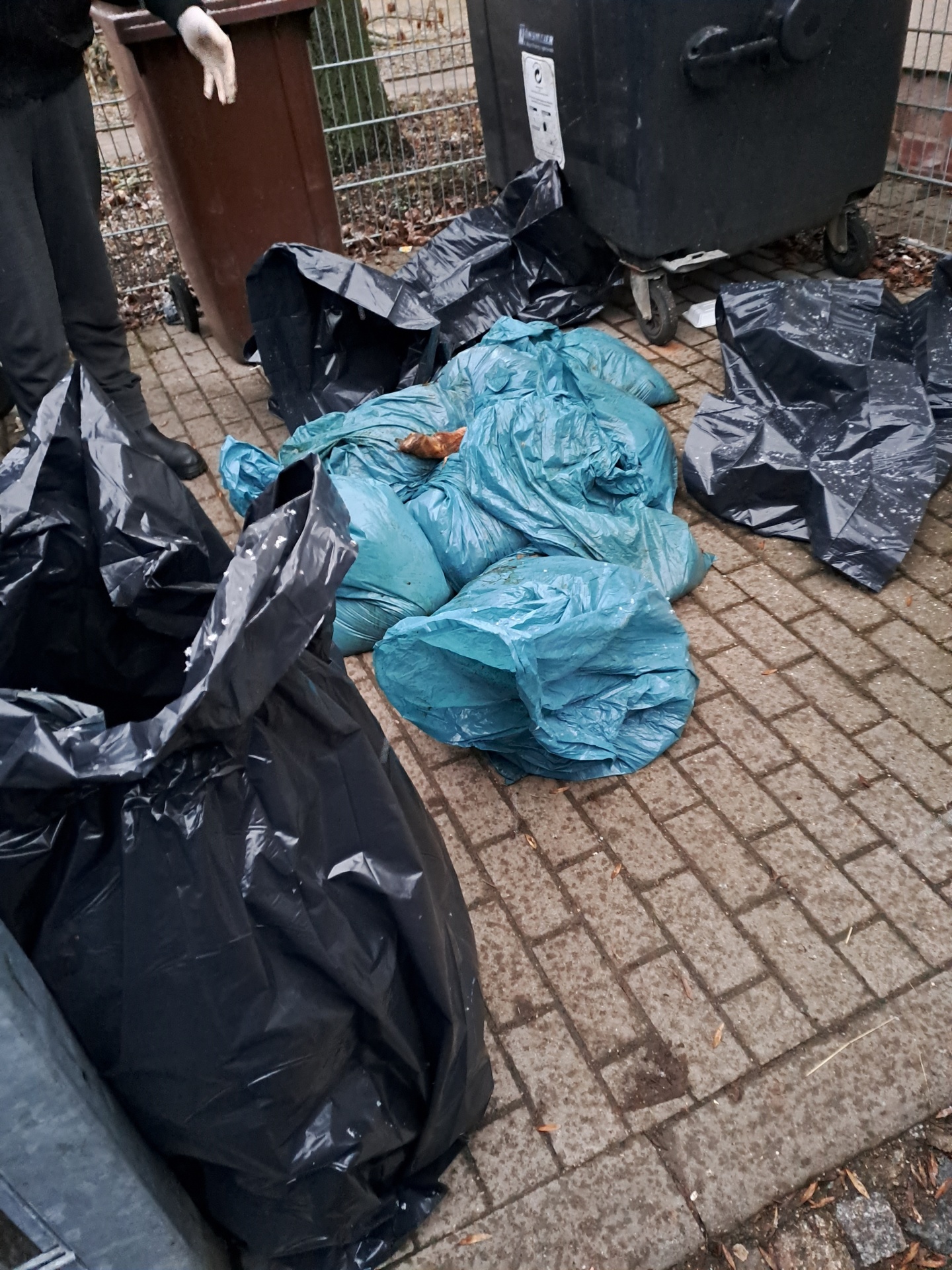 Säckeweise Schlachtabfall: Der jüngste Fund in Aschersleben