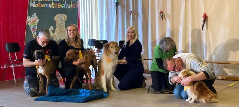 Scolarisation des chiens d'école