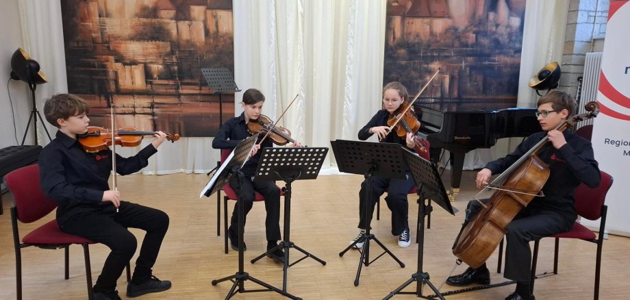 Das Streichquartett sind Maxim Babinec, Leandra Pannier, Lena Reichelt und Aaron Pannier Das Streichquartett sind Maxim Babinec, Leandra Pannier, Lena Reichelt und Aaron Pannier