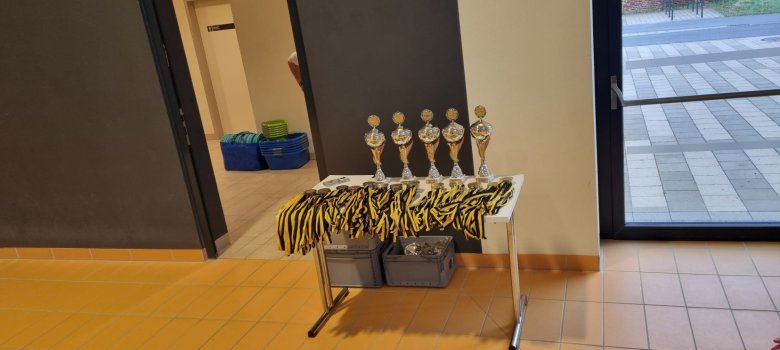 Landesfinale "Jugend trainiert" im Para Schwimmen